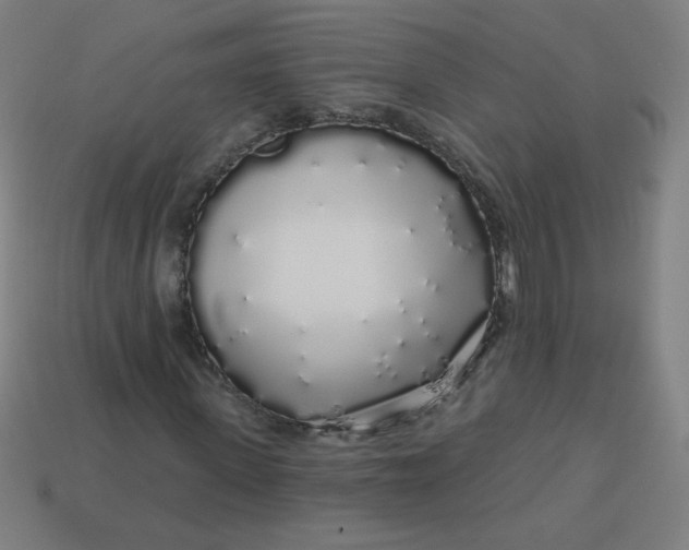 X0000113530915200910091220