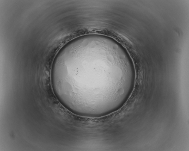 X0000113530917200910091220