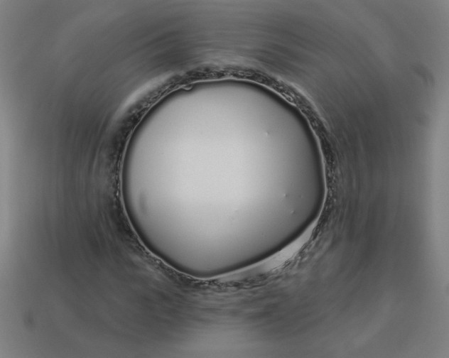 X0000113530919200910091220