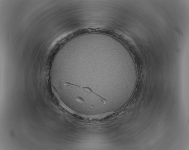 X0000113530920200910091220