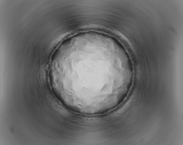 X0000113530921200910091220