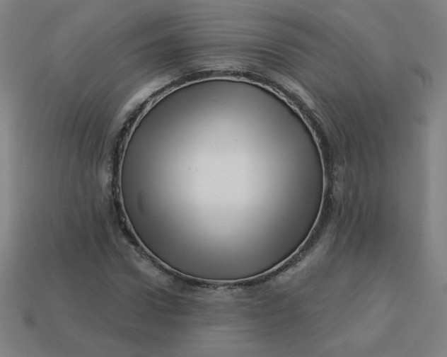 X0000113530922200910091220