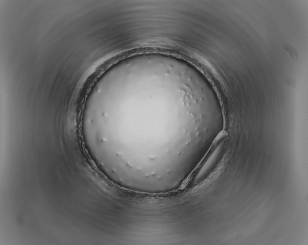 X0000113530923200910091220