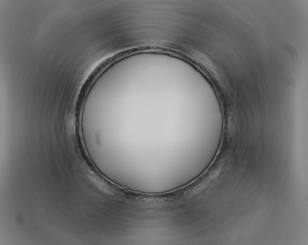 X0000113530924200910091220