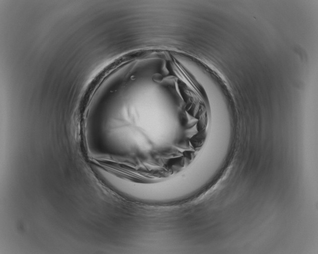 X0000113530925200910091220