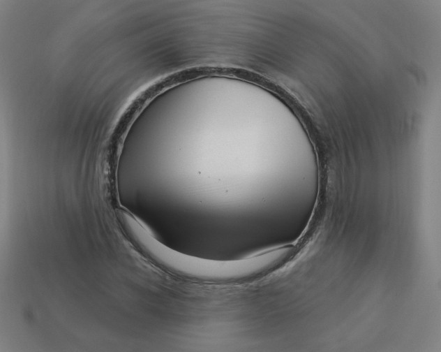 X0000113530926200910091220