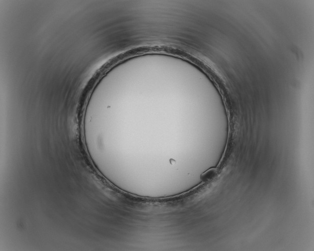 X0000113530927200910091220