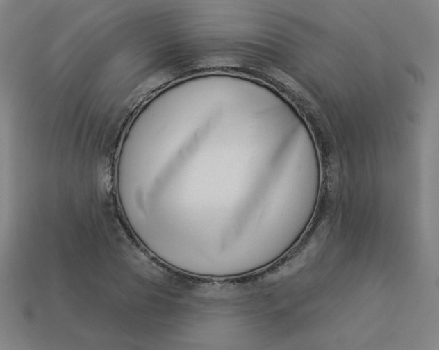 X0000113530929200910091220