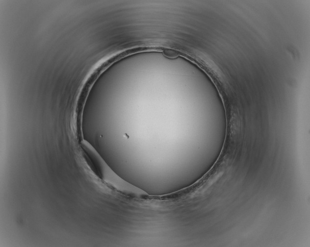 X0000113530932200910091220