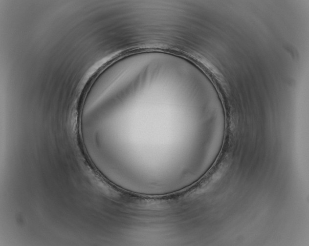 X0000113530933200910091220