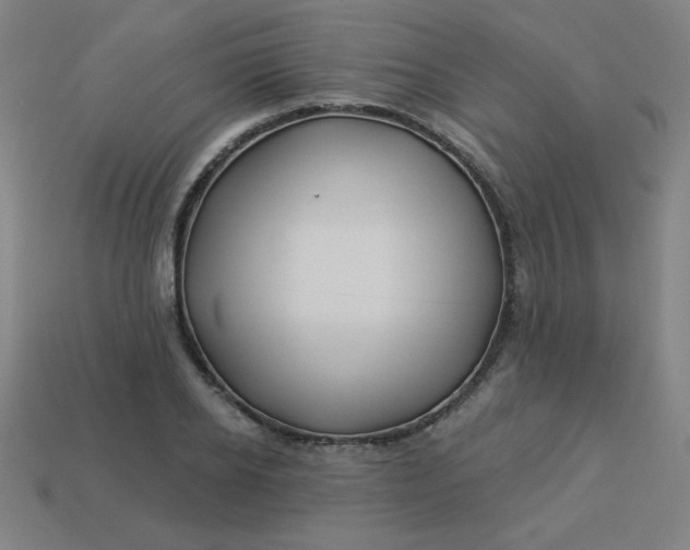 X0000113530934200910091220