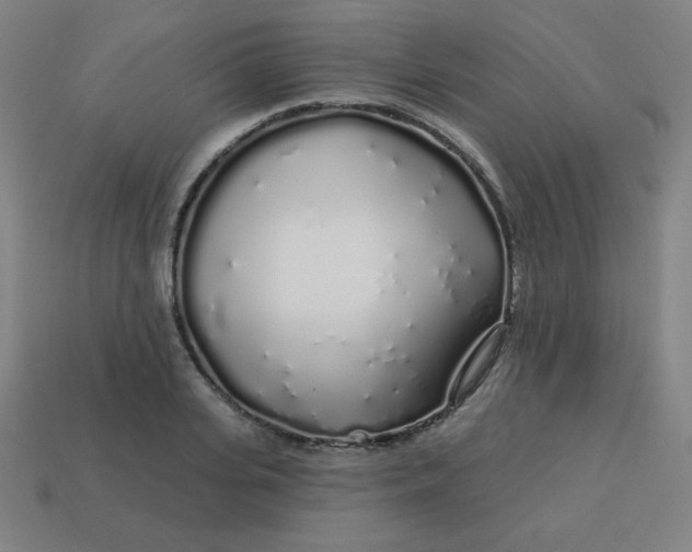 X0000113530935200910091220