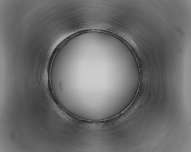 X0000113530936200910091220