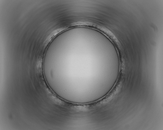 X0000113530937200910091220