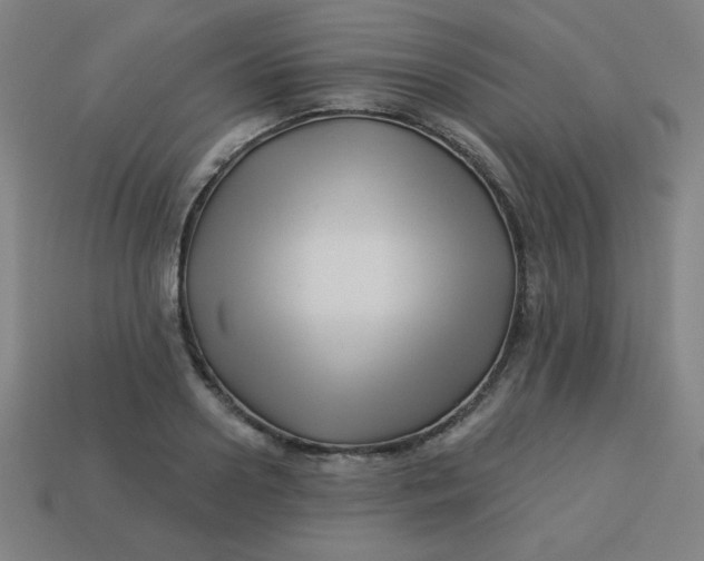 X0000113530938200910091220