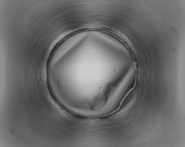 X0000113530939200910091220