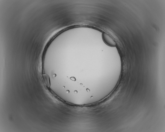 X0000113530940200910091220