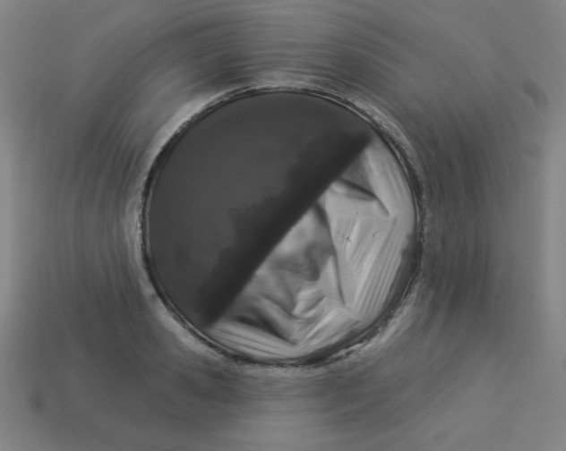 X0000113530941200910091220