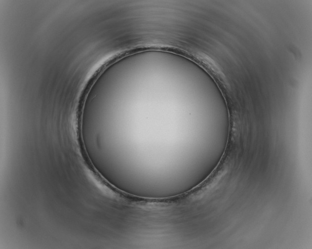 X0000113530942200910091220