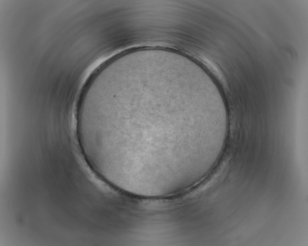 X0000113530944200910091220