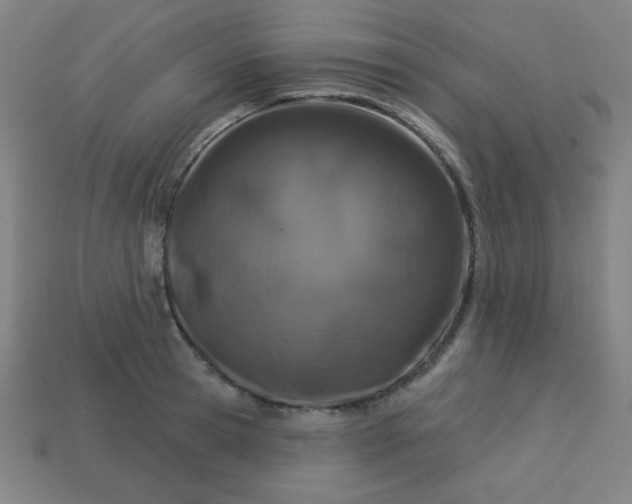 X0000113530945200910091220