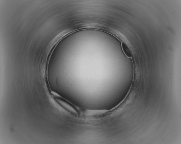 X0000113530946200910091220