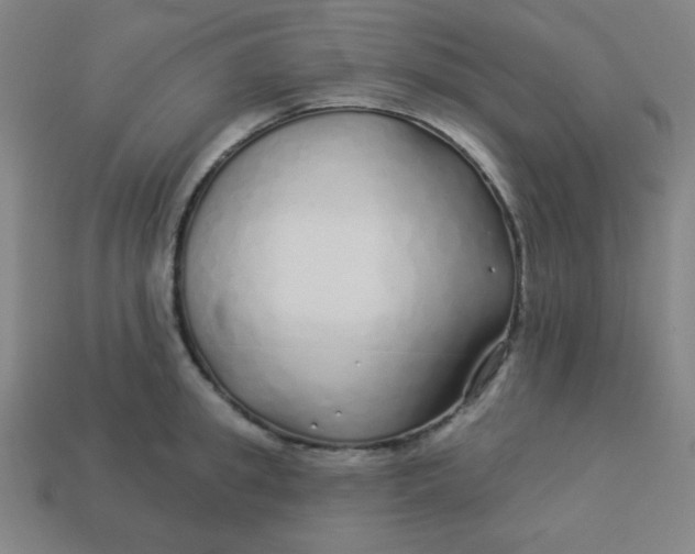 X0000113530949200910091220