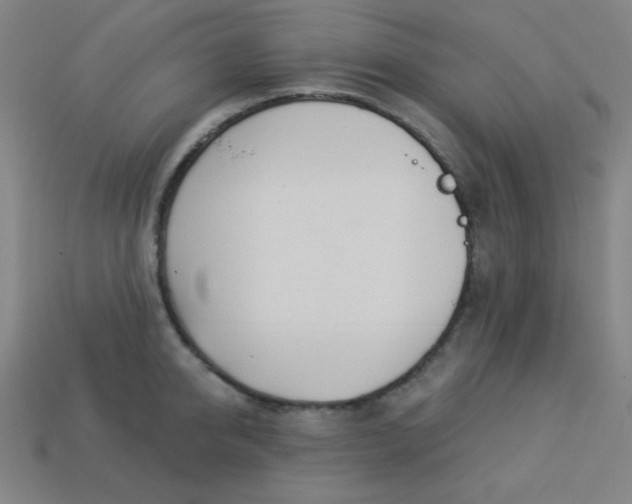 X0000113530950200910091220