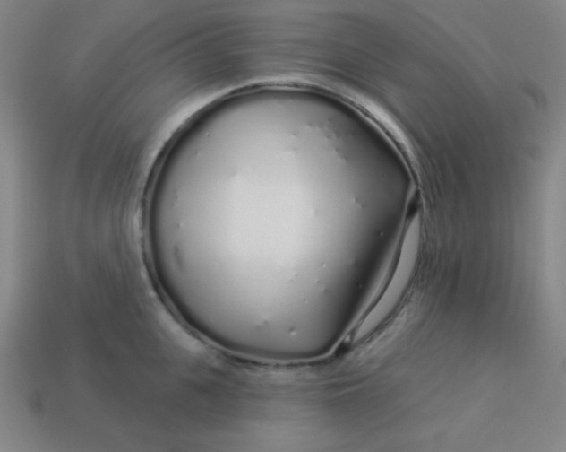 X0000113530951200910091220