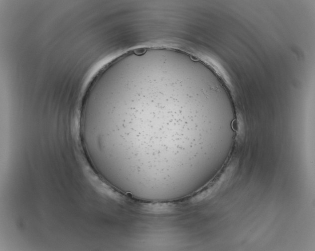 X0000113530952200910091220