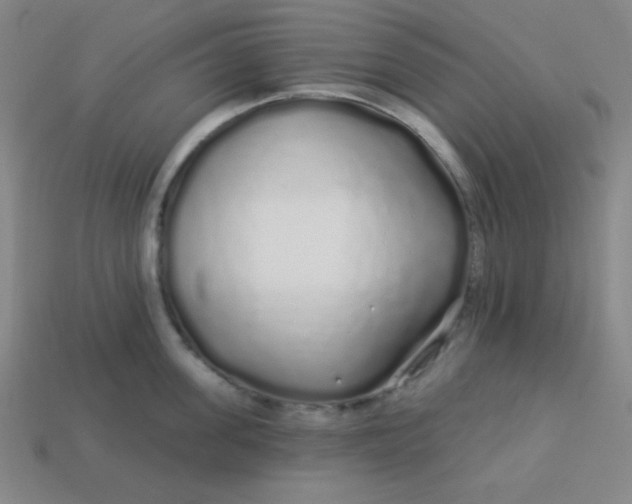 X0000113530955200910091220