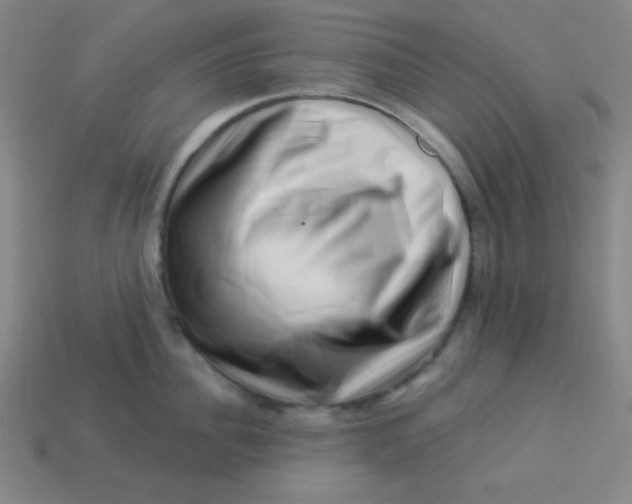 X0000113530956200910091220