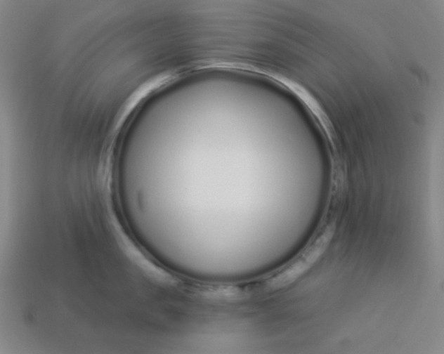 X0000113530957200910091220