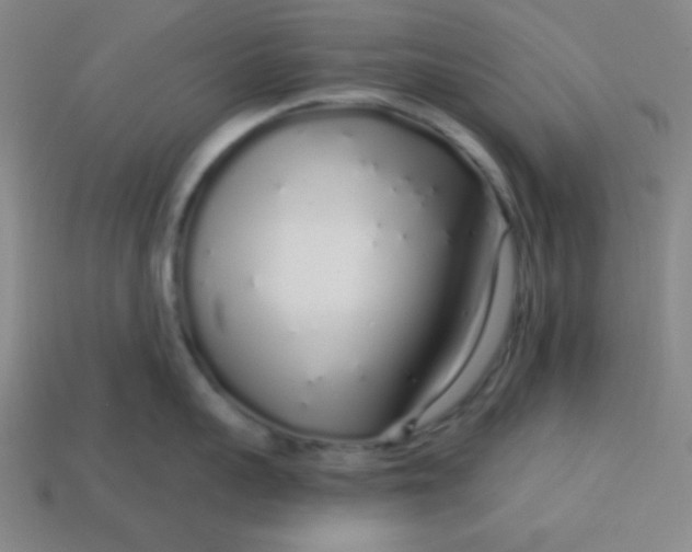 X0000113530959200910091220