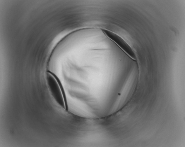 X0000113530960200910091220