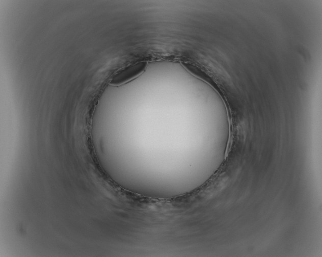 X0000113530961200910091220