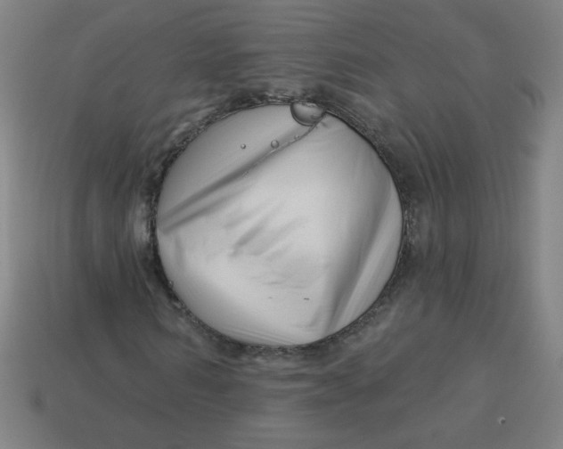 X0000113530962200910091220