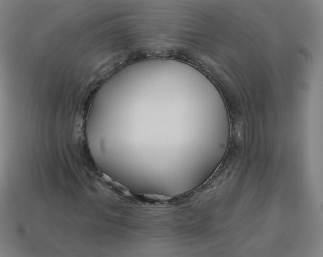 X0000113530964200910091220