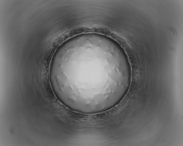 X0000113530966200910091219