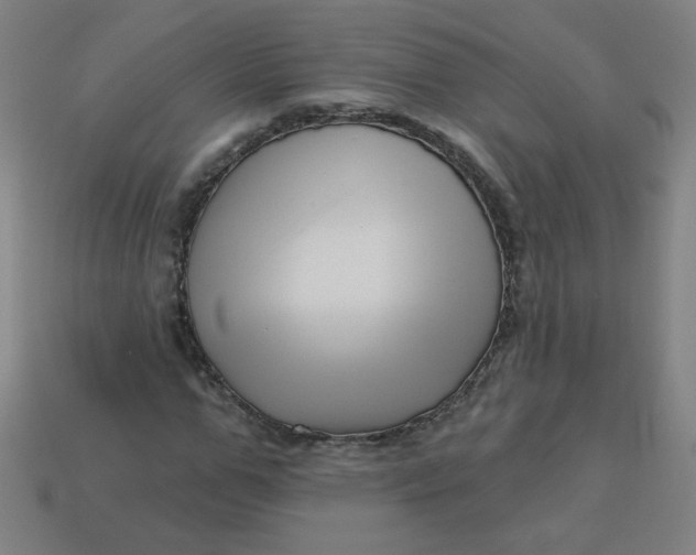 X0000113530967200910091219