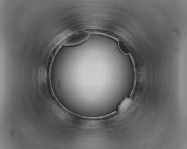 X0000113530969200910091219