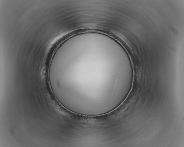 X0000113530971200910091219