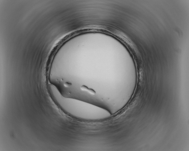 X0000113530972200910091219