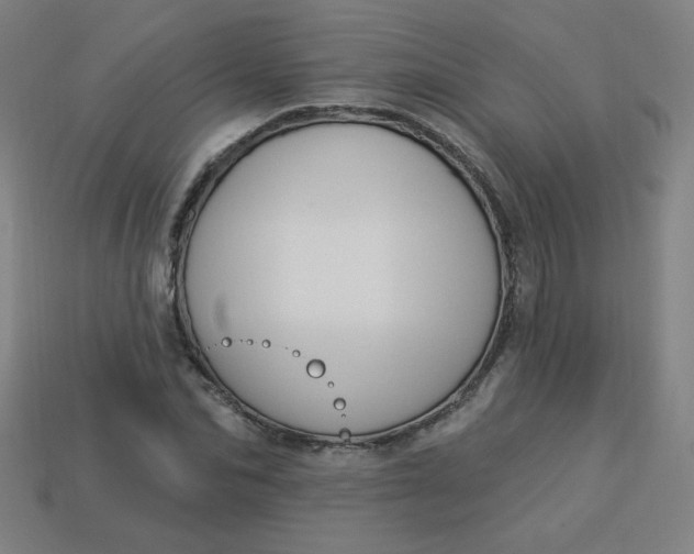 X0000113530974200910091219