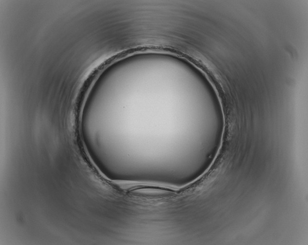 X0000113530975200910091219