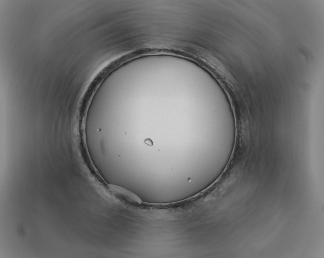 X0000113530976200910091219