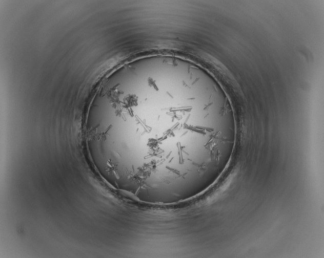 X0000113530977200910091219