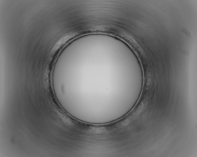 X0000113530978200910091219