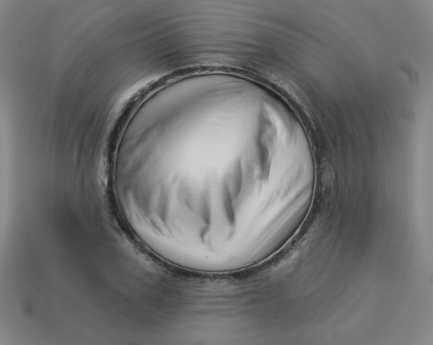 X0000113530979200910091219