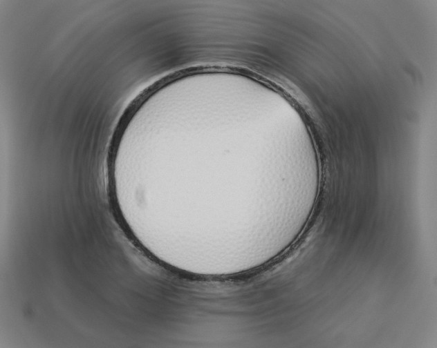 X0000113530980200910091219